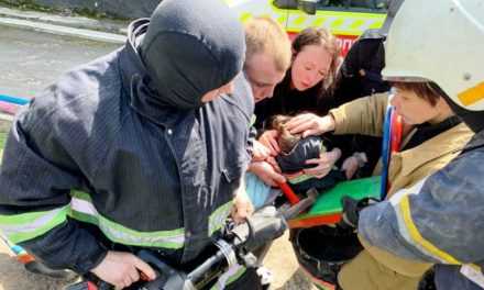 Павлоградские спасатели пришли на помощь маленькой девочке (ВИДЕО)