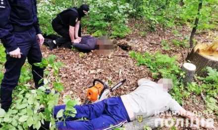 В Павлоградском районе разоблачили преступную группу, которая занималась незаконной вырубкой леса