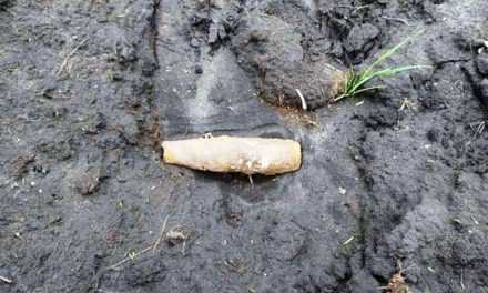 В Павлограде мужчина наткнулся на опасную находку на территории собственного домовладения