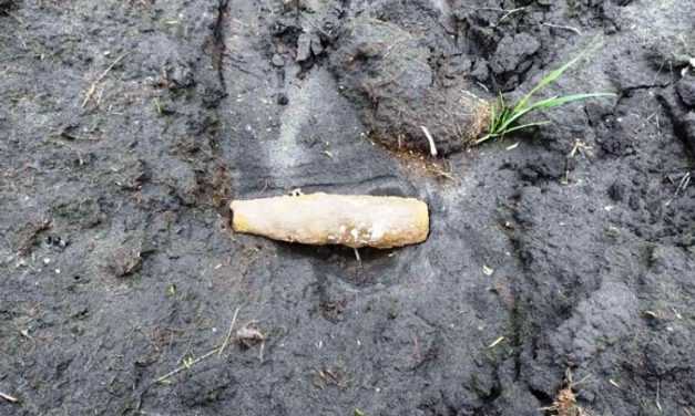 В Павлограде мужчина наткнулся на опасную находку на территории собственного домовладения