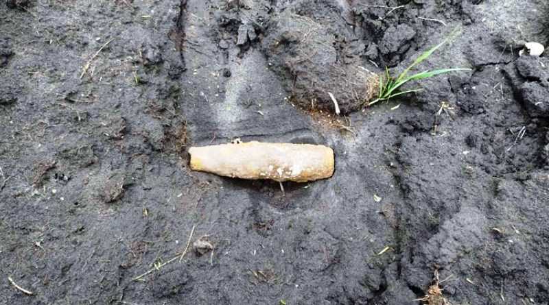 В Павлограде мужчина наткнулся на опасную находку на территории собственного домовладения