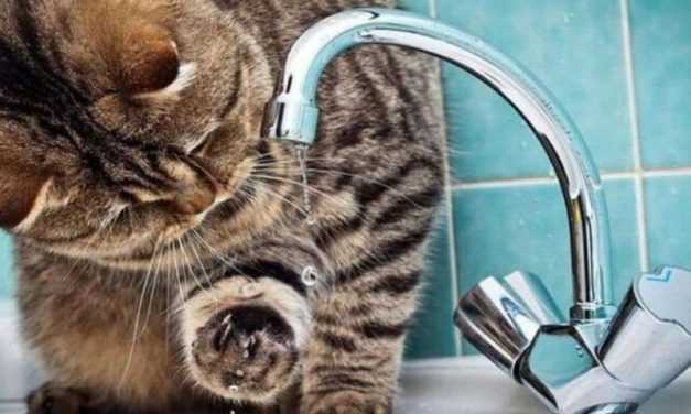 Жители Павлограда останутся без воды из-за долгов водоканала