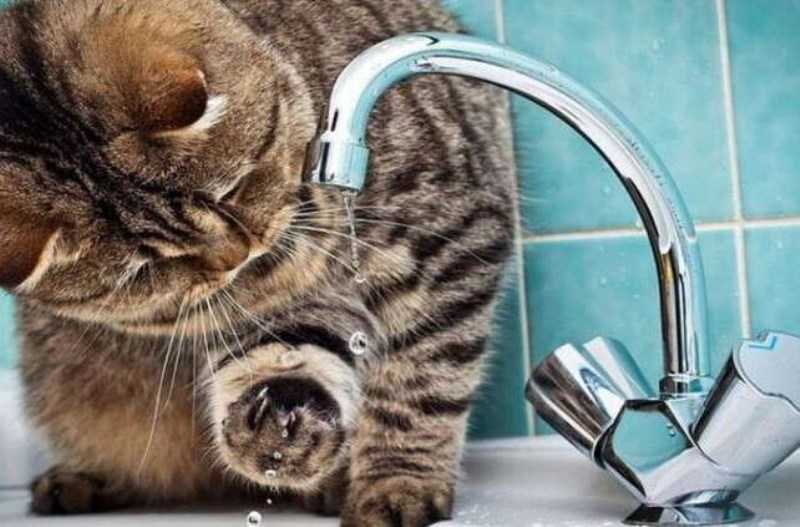 Жители Павлограда останутся без воды из-за долгов водоканала