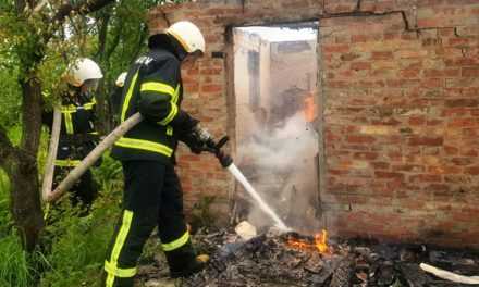 В Павлограде пожарные потушили возгорание на территории садового общества