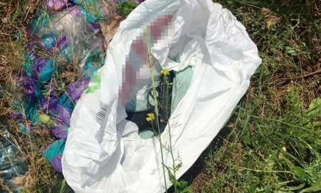 Задержан подозреваемый, который из огнестрельного оружия ранил знакомого