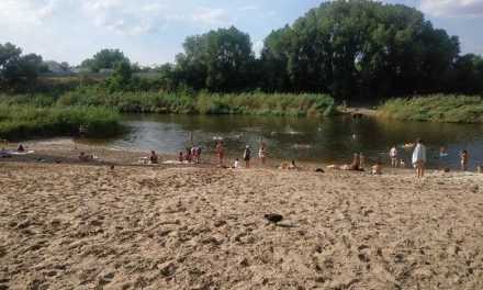 В районе городского пляжа в реке Волчья обнаружили холерный вибрион: купаться не рекомендуют