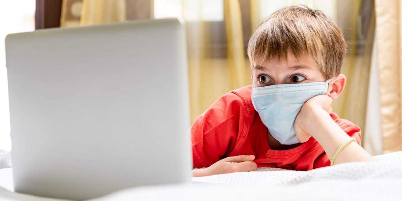 С 1 ноября все школьники Павлограда будут учиться дистанционно