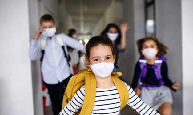 С 11 ноября возобновляется образовательный процесс для учеников 1-4 классов всех школ Павлограда