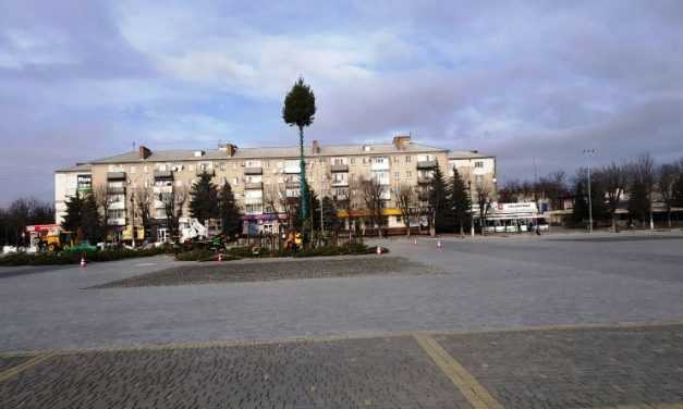 В центре Павлограда устанавливают новогоднюю ёлку