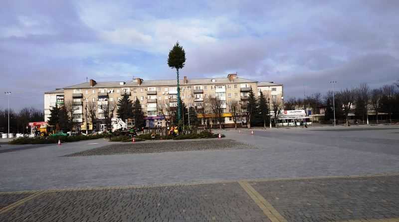 В центре Павлограда устанавливают новогоднюю ёлку