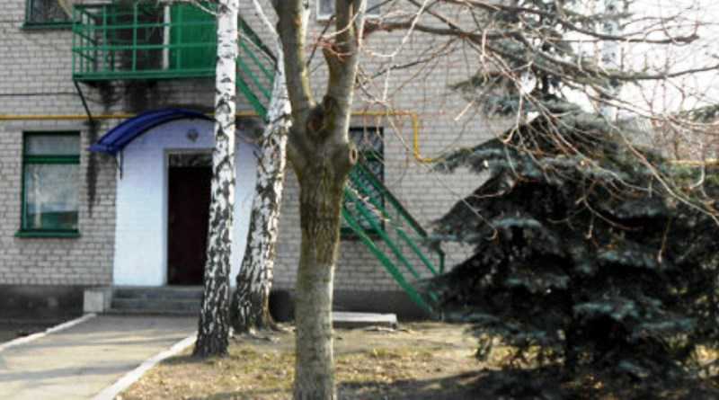 Стало известно, сколько будут стоить новогодние ёлки в Павлоградском лесхозе