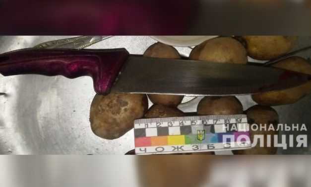 В Павлограде задержали местного жителя, который нанёс смертельное ножевое ранение своему знакомому