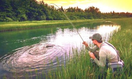 В Україні нові правила рибальства