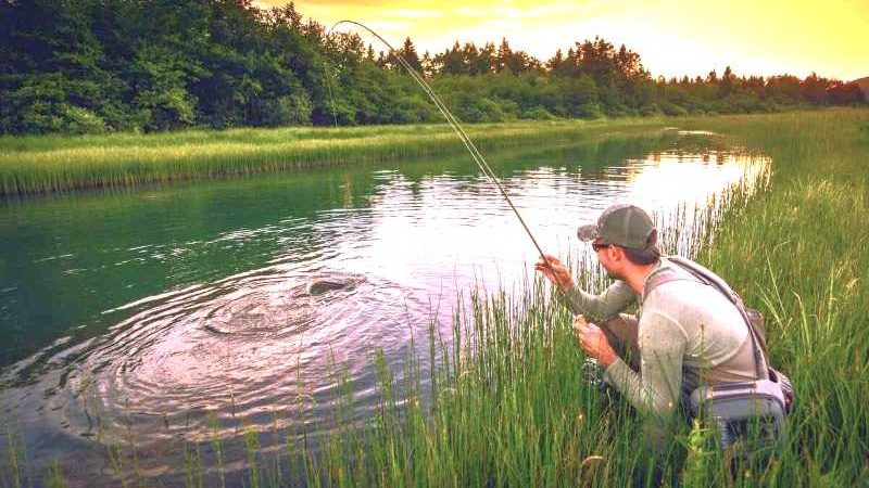 В Україні нові правила рибальства