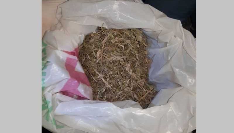 У мешканця Павлограда вилучили канабіс