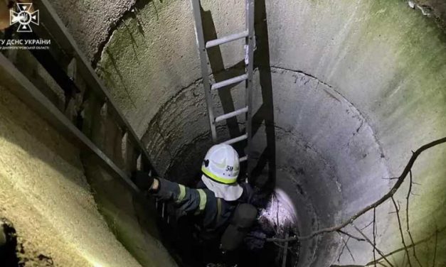 Рятувальники Тернівки виручили кошеня