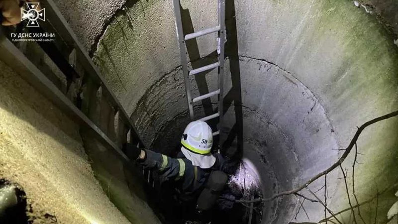 Рятувальники Тернівки виручили кошеня