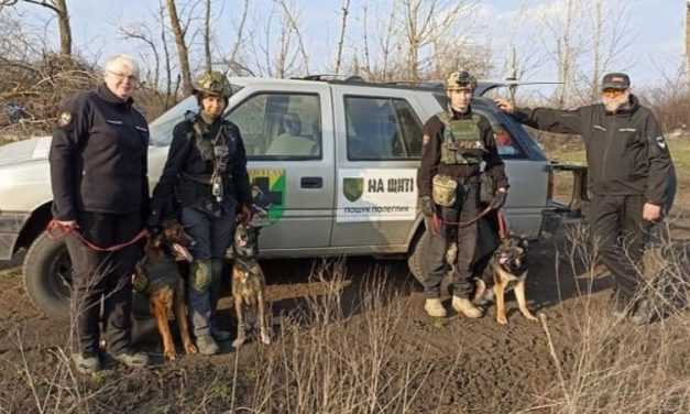 Павлоградські кінологи підірвалися на розтяжці