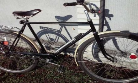 В Павлограді очевидці допомогли затримати грабіжника