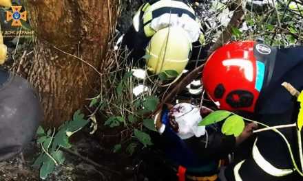 В Павлограді чоловік провалився у яму