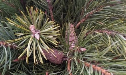 Хтось скаже: “не на часі”, а хтось : “коли, як не зараз?”