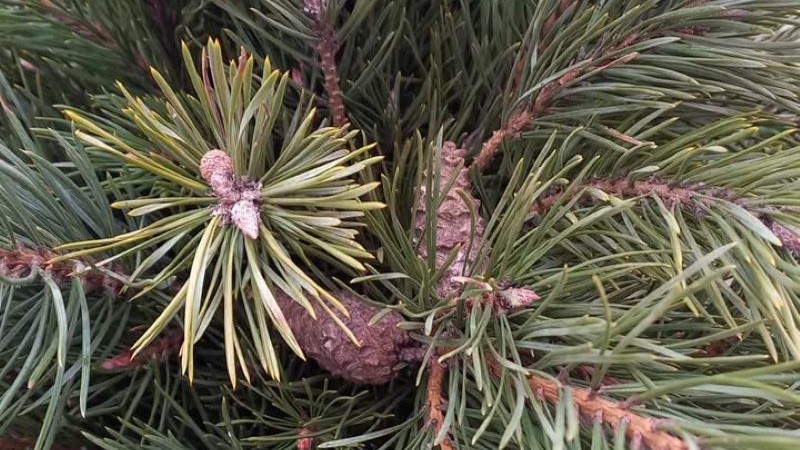 Хтось скаже: “не на часі”, а хтось : “коли, як не зараз?”