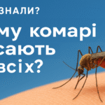 Чому комарі кусають не всіх – пояснюємо просто