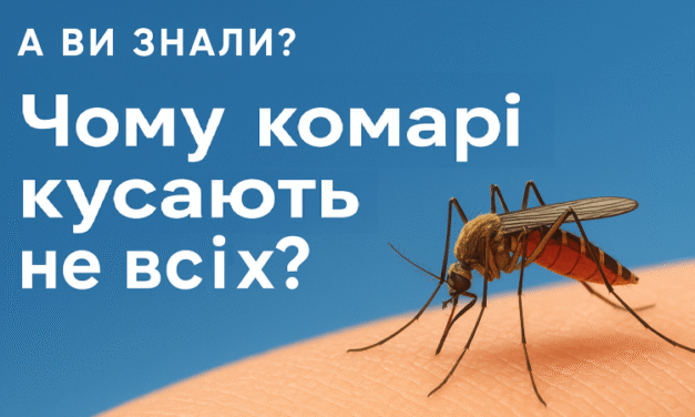 Чому комарі кусають не всіх – пояснюємо просто